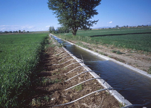 Figure 3. Pumped water channeled through a canal at the Ahero Irrigation Scheme. (Picture courtesy of Wikimedia and the National Irrigation Board of Kenya.)