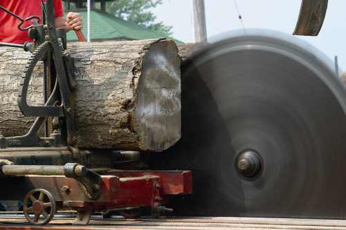 Figure 3. Pumps are not the only machines that risk exposing delicate environments to direct lubricant contact; gear box and saw operators also need to be aware of the potential problem.