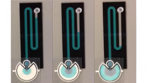 A hydraulic battery pumping fluid through a simple microchannel at a constant rate of 0.6 µl/min. Each snapshot is 12 min apart.