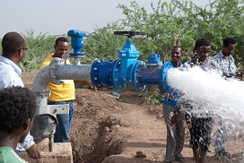 Agricultural workers using the Caprari pumps.