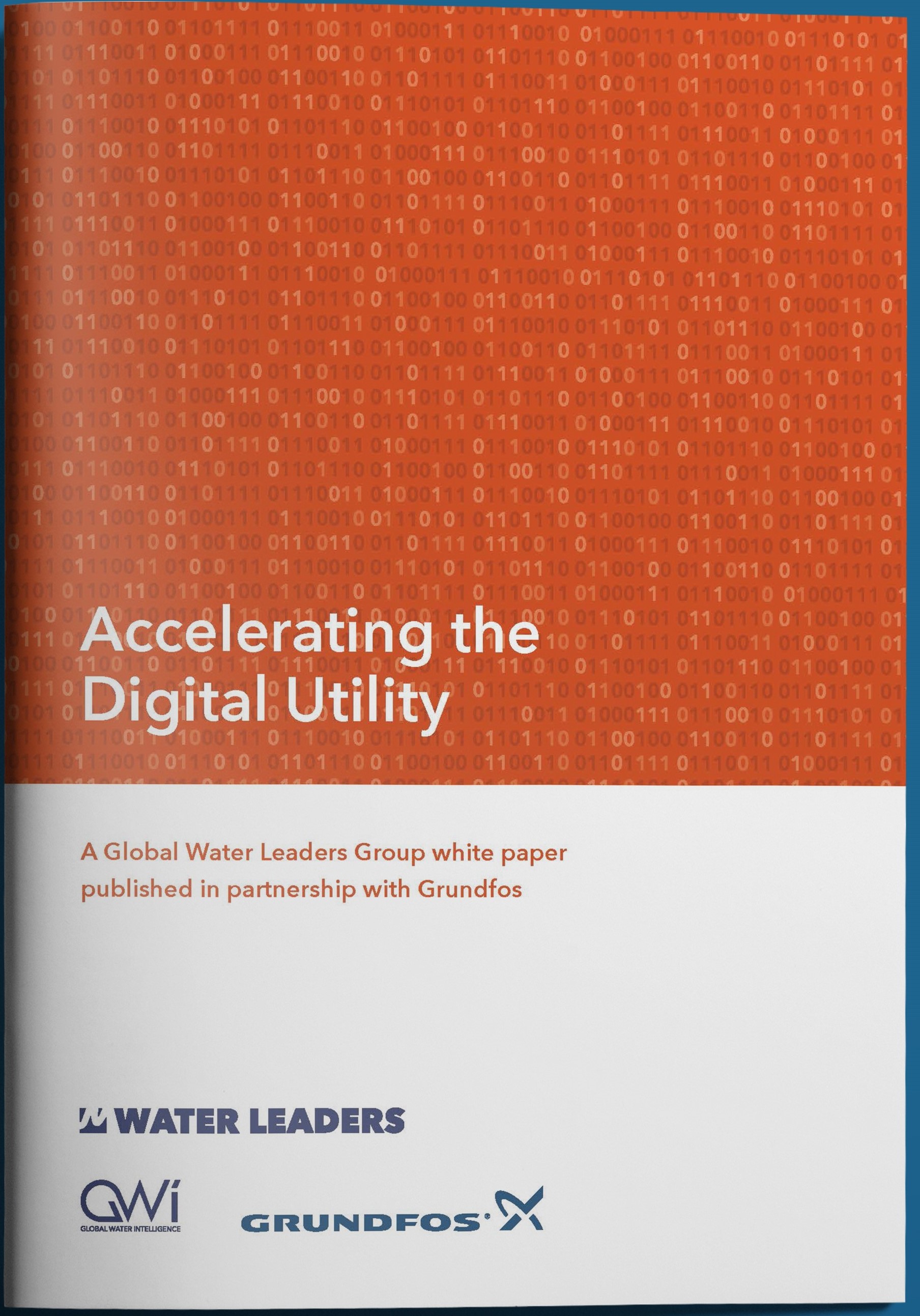 The new white paper from Grundfos  was discussed at the American Water Summit in November.