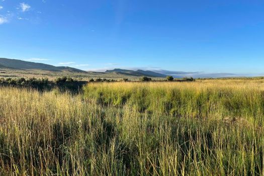 Grasslands near Kemmerer, Wyoming