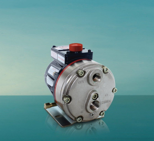 The Model G25 Hydra-Cell diaphragm pump.