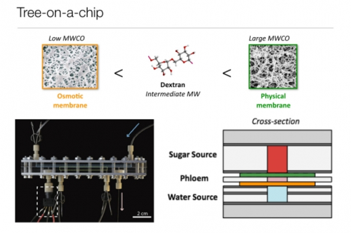 The chip requires no moving parts or external pumps.