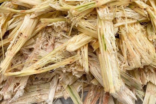 Sugarcane waste which is known as bagasse