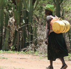 In most rural communities in Kenya, the inhabitants have to walk long distances to get safe drinking water. Five to ten km is not unusual. Often women and schoolchildren spend most of their day in this way and carry heavy jerrycans back to their houses. A typical household uses 80 to 100 l a day.