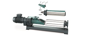 The NEMO progressing cavity pump in the FSIP design: