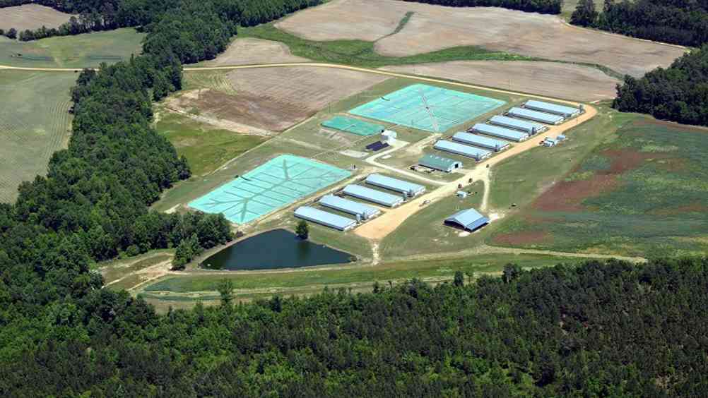 Butler Farms in North Carolina, which has always tried to minimise its impact on the environment.