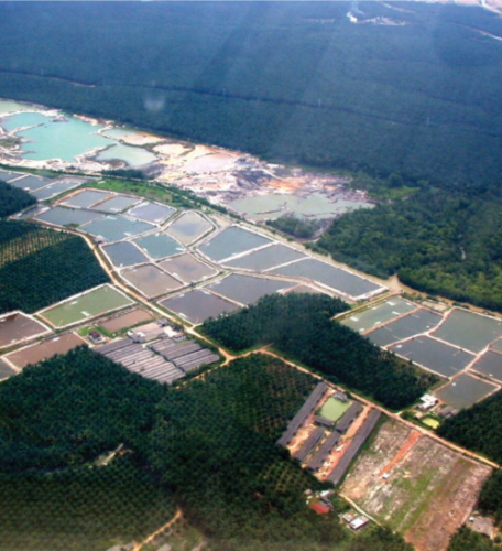 Aerial view of shrimp farm in Malaysia.